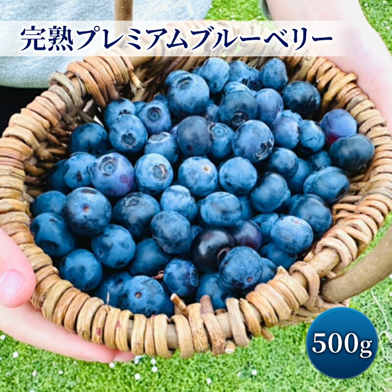 【ふるさと納税】完熟プレミアムブルーベリー 約500g（約125gx4パック） 大粒 甘み 希少性 プレミアム ブルーベリー ハイブッシュ系 ブルーベリー 厳選 樹上完熟果　お届け：2025年5月15日～6月15日まで