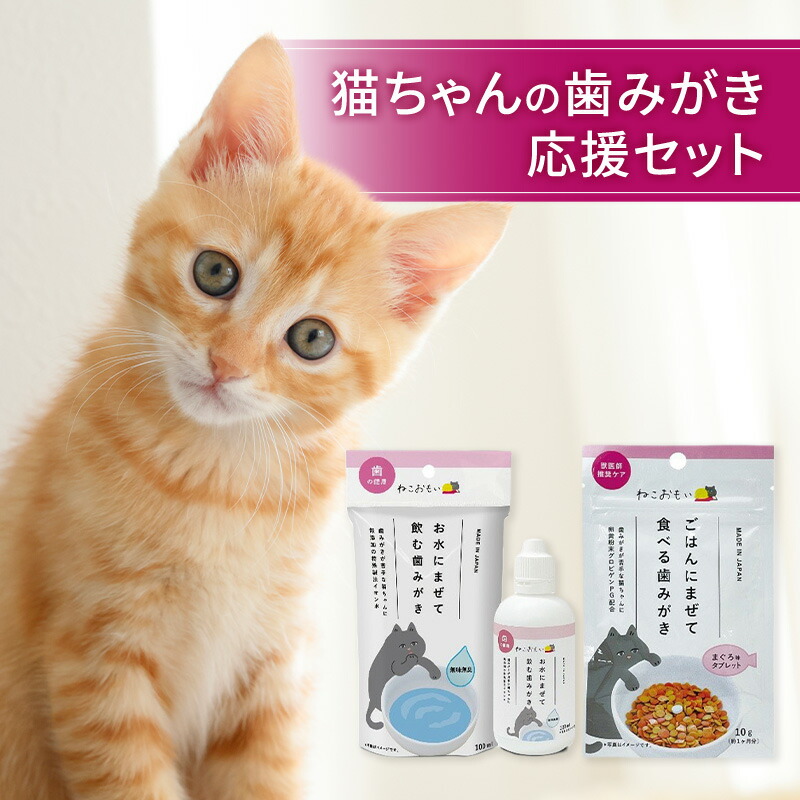 【ふるさと納税】猫ちゃんの歯みがき応援セット 歯みがき 猫 デンタルケアセット お水に混ぜて飲ませるだけ 混ぜるだけ 口内 歯周病菌 お口の中の環境 整える 健康寿命延伸 歯ブラシ