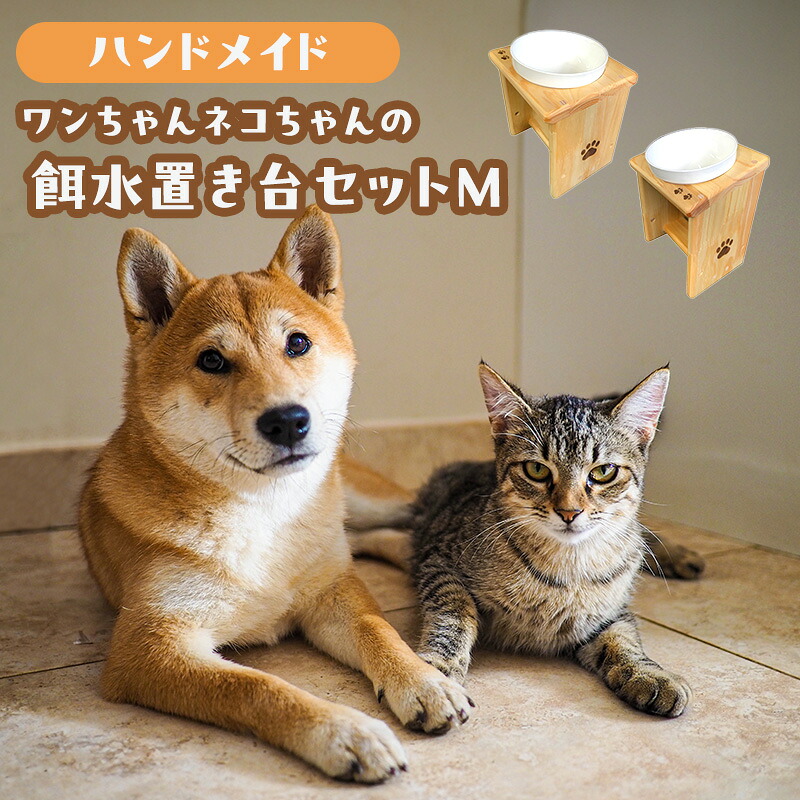 綾瀬市2025年一般受けしっぺい返し品度合い ペット・ペットグッズ-食器台・テーブル