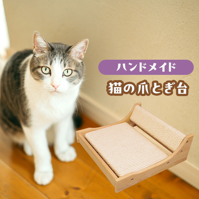 綾瀬市2025年一般受けしっぺい返し品度合い