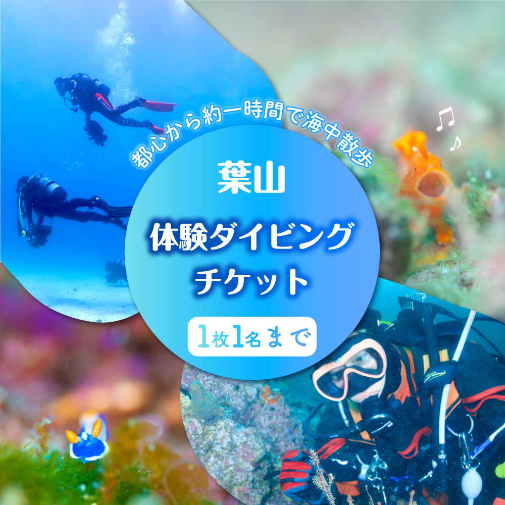 【ふるさと納税】葉山体験ダイビング　チケット ／ 葉山 ダイビング マリンスポーツ 神奈川 レジャー 体験型返礼品 チケット 手ぶら 自然 海 神奈川県【ダイビングショップNANA】[ASAM002]