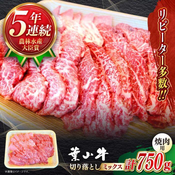 【ふるさと納税】国産 和牛 A5ランク 葉山牛 焼肉用 ミックス 切り落とし  ( ロース モモ カルビ 等 ) 計750g  A5 黒毛和牛 牛肉 焼肉 冷凍 焼肉食べ比べ 焼肉セット 肉 【葉山牛ステーキレストラン 角車】[ASBD002]