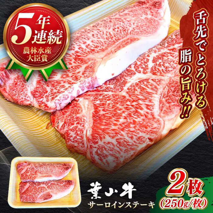 【ふるさと納税】【幻の和牛】国産 和牛 A5ランク 牛肉 葉山牛 サーロインステーキ 計500g ( 250g × 2枚 ) ／ A5 黒毛和牛 500グラム サーロイン ステーキ 冷凍 人気 おすすめ 赤身【葉山牛ステーキレストラン 角車】[ASBD008]
