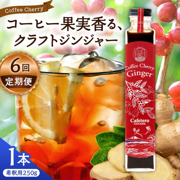 【ふるさと納税】【全6回定期便】カフェテーロ葉山 チェリージンジャー 250g×1本 / ジュース 飲料 ジンジャー チェリー 250ml 葉山町【合同会社エンディレクト】[ASBM011]