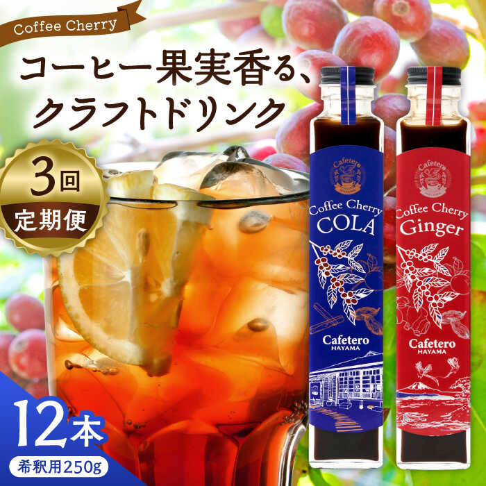 【ふるさと納税】【全3回定期便】カフェテーロ葉山 チェリーコーラ 6本 チェリージンジャー 6本/ ジュース ジンジャー 飲み比べ チェリー 250ml 葉山町【合同会社エンディレクト】[ASBM019]｜神奈川県葉山町