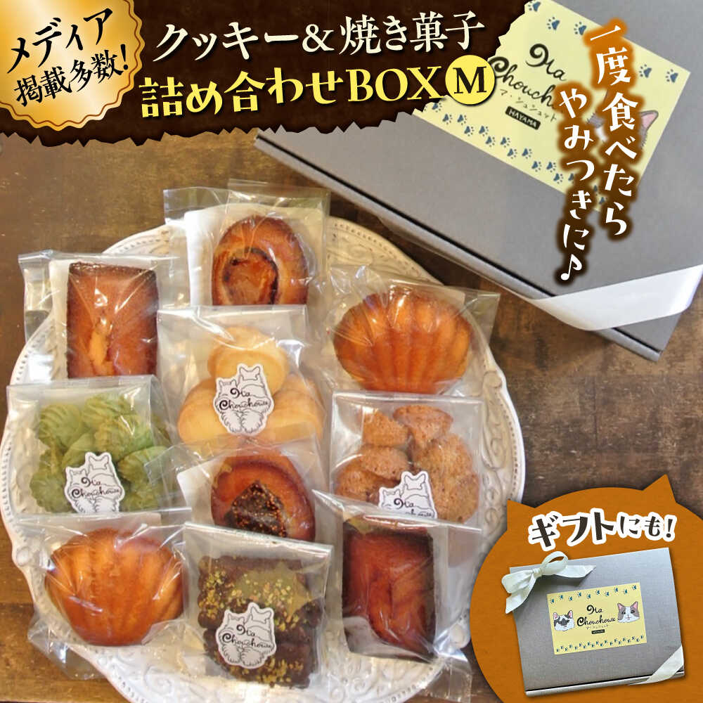 【ふるさと納税】クッキー＆焼き菓子詰め合わせBOX M【菓子工房　マ・シュシュット】[ASBU003]