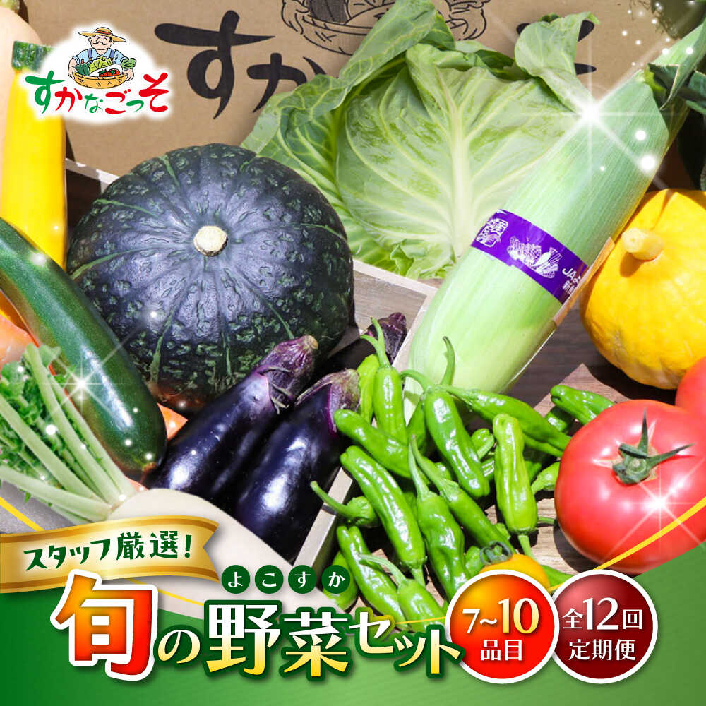 【ふるさと納税】【全12回定期便】よこすか野菜セット すかなボックス / 野菜 やさい 野菜ボックス 野菜セット 野菜詰め合わせ 野菜BOX【JAよこすか葉山】[ASCB004]｜神奈川県葉山町