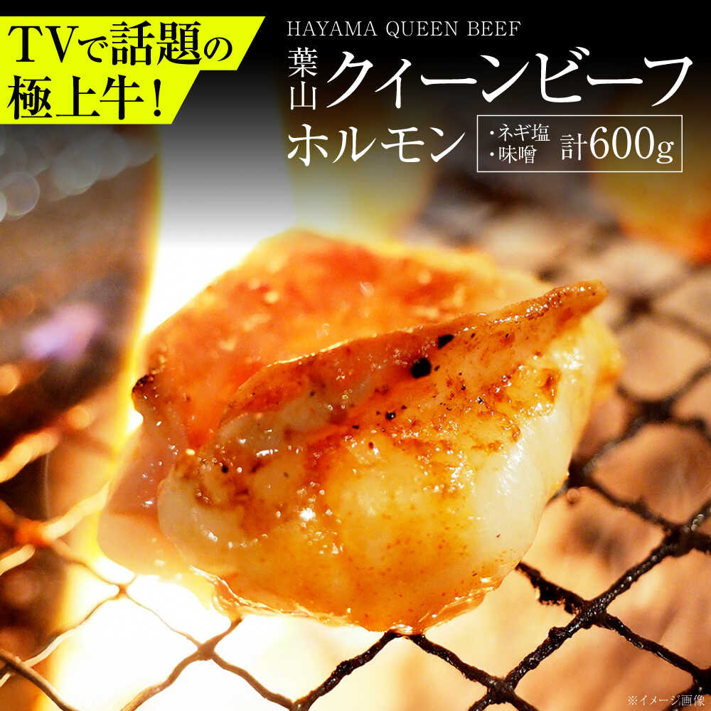 【ふるさと納税】葉山クィーンビーフ味噌味、ネギ塩味 各300g | 赤身と脂のバランスが絶妙な神奈川・葉山発 牛ホルモン 肉 ほるもん 国産 葉山 HACCP認証 神奈川【株式会社石井ファーム葉山マルシェ】[ASCD014]