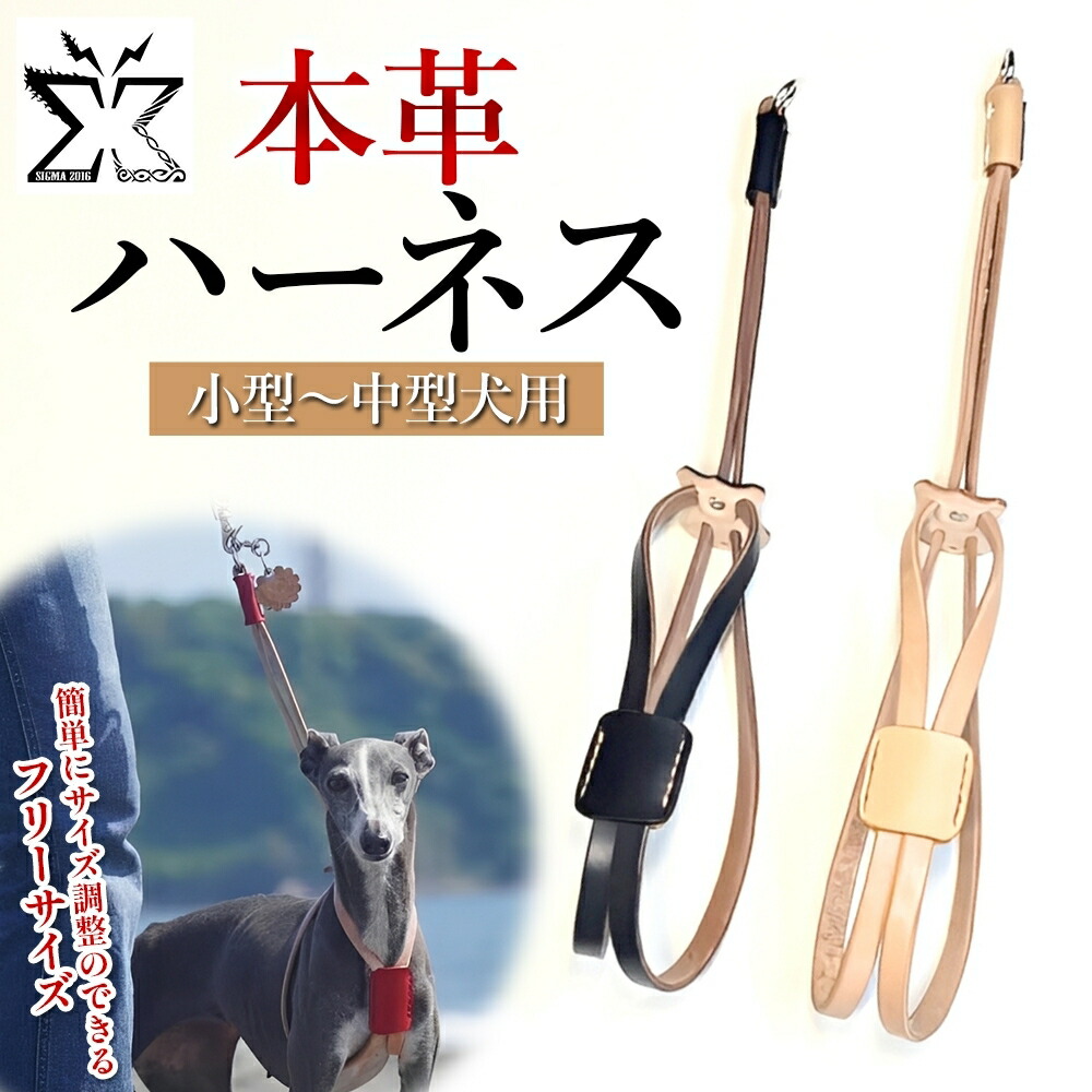 【ふるさと納税】犬用 馬具 胴輪 小型犬 中型犬 自然的 ヌメ革 なめし革 本革 牛皮 手作り お手てお手伝いさん 愛玩動物装置 おほっつき歩く お出かけ 購入注文お手伝いさん 犬具 神奈川県 差し上げ物 差し上げ物 差し上げ物 ご褒奨金