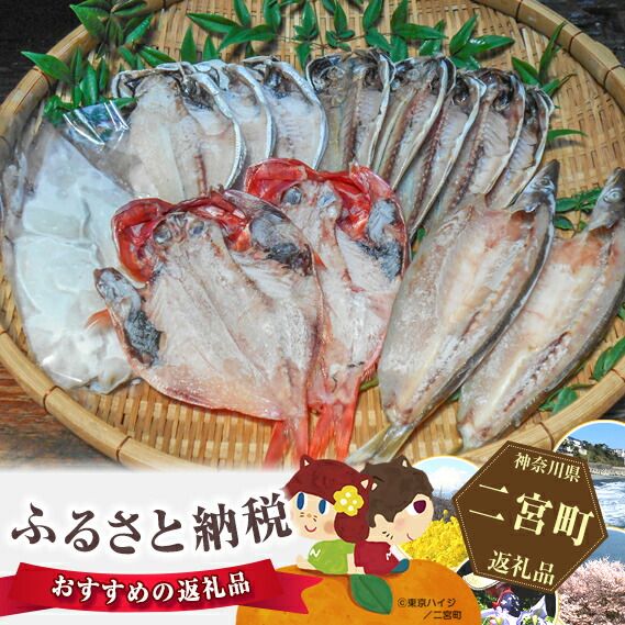 楽天市場 ふるさと納税 No 025 二宮 干物セット 季節による多少内容が変わる訳あり品 魚 天日干し 神奈川県 特産品 神奈川県二宮町