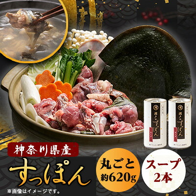 【ふるさと納税】【のし付き】神奈川産すっぽん鍋丸ごと1匹(620g)&濃厚すっぽんスープ2本(各180g)セット【配送不可地域：離島】【1617525】｜神奈川県山北町