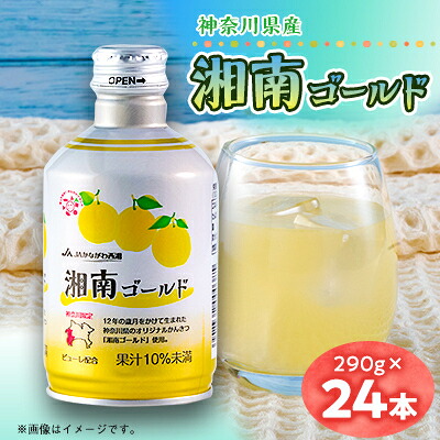 【ふるさと納税】湘南ゴールド飲料 神奈川県産　290g&times;24本入り【1666394】｜神奈川県山北町