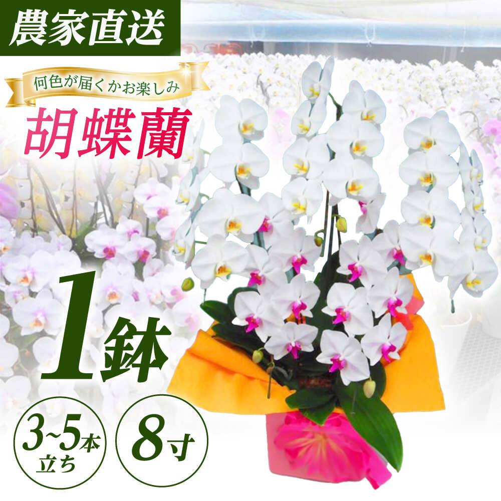 【ストレス性花粉時期に必見】難しいなお肌を守る！高性能ティッシュ特集