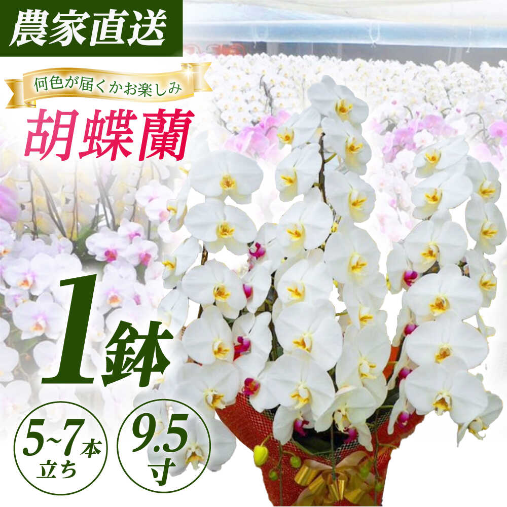 【ストレス性花粉時期に必見】難しいなお肌を守る！高性能ティッシュ特集