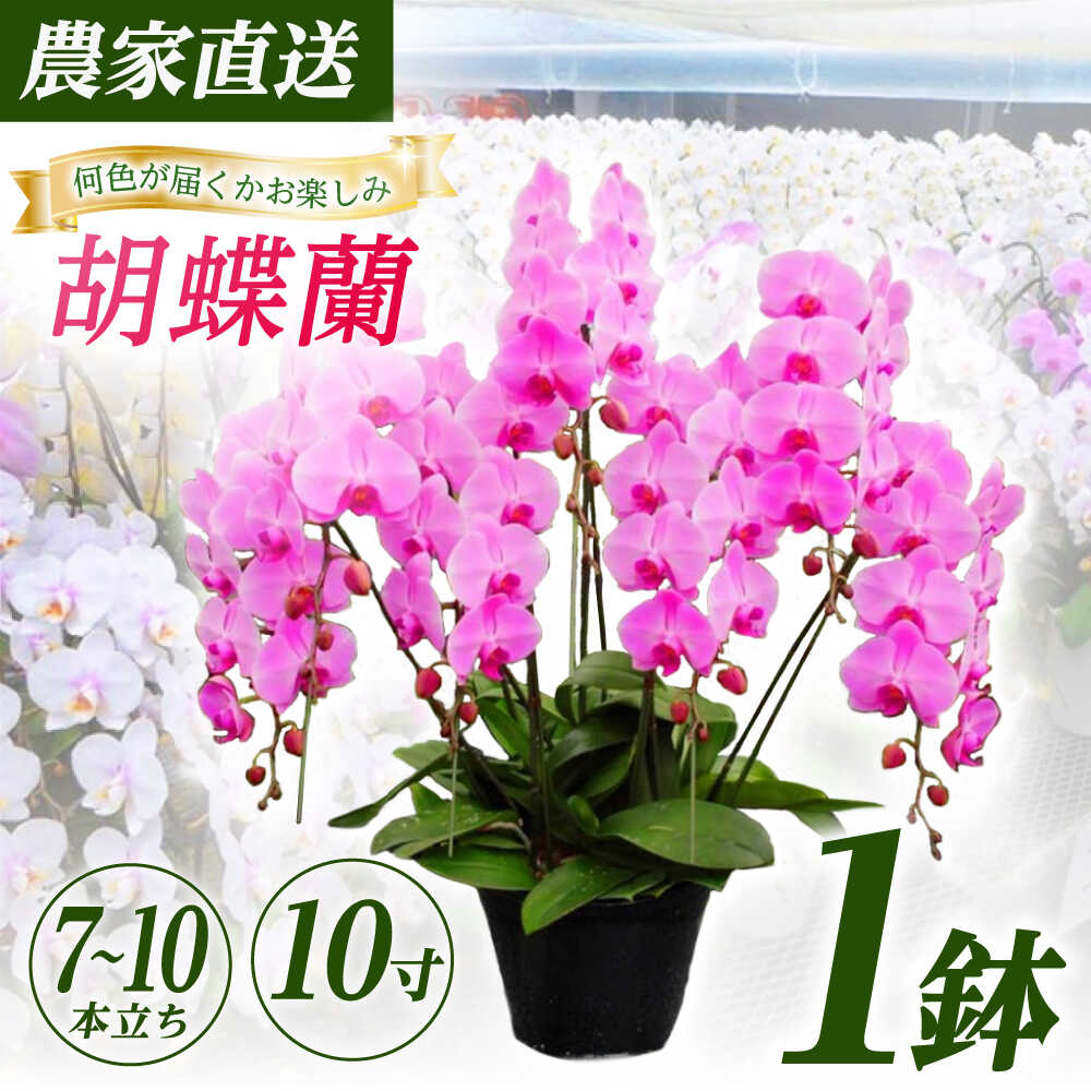 【ストレス性花粉時期に必見】難しいなお肌を守る！高性能ティッシュ特集