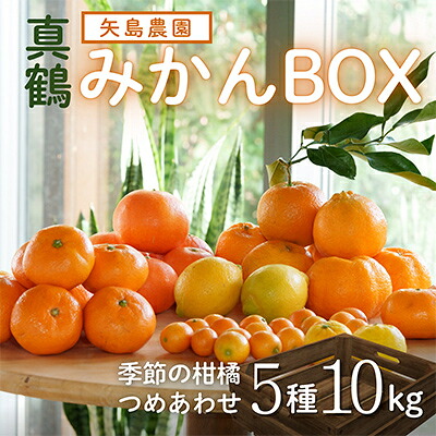 【ふるさと納税】みかん色々♪ 季節の柑橘詰合せ10kgいろんな種類が一箱に詰まった楽しいみかんBox【先行予約】【1531525】｜神奈川県真鶴町