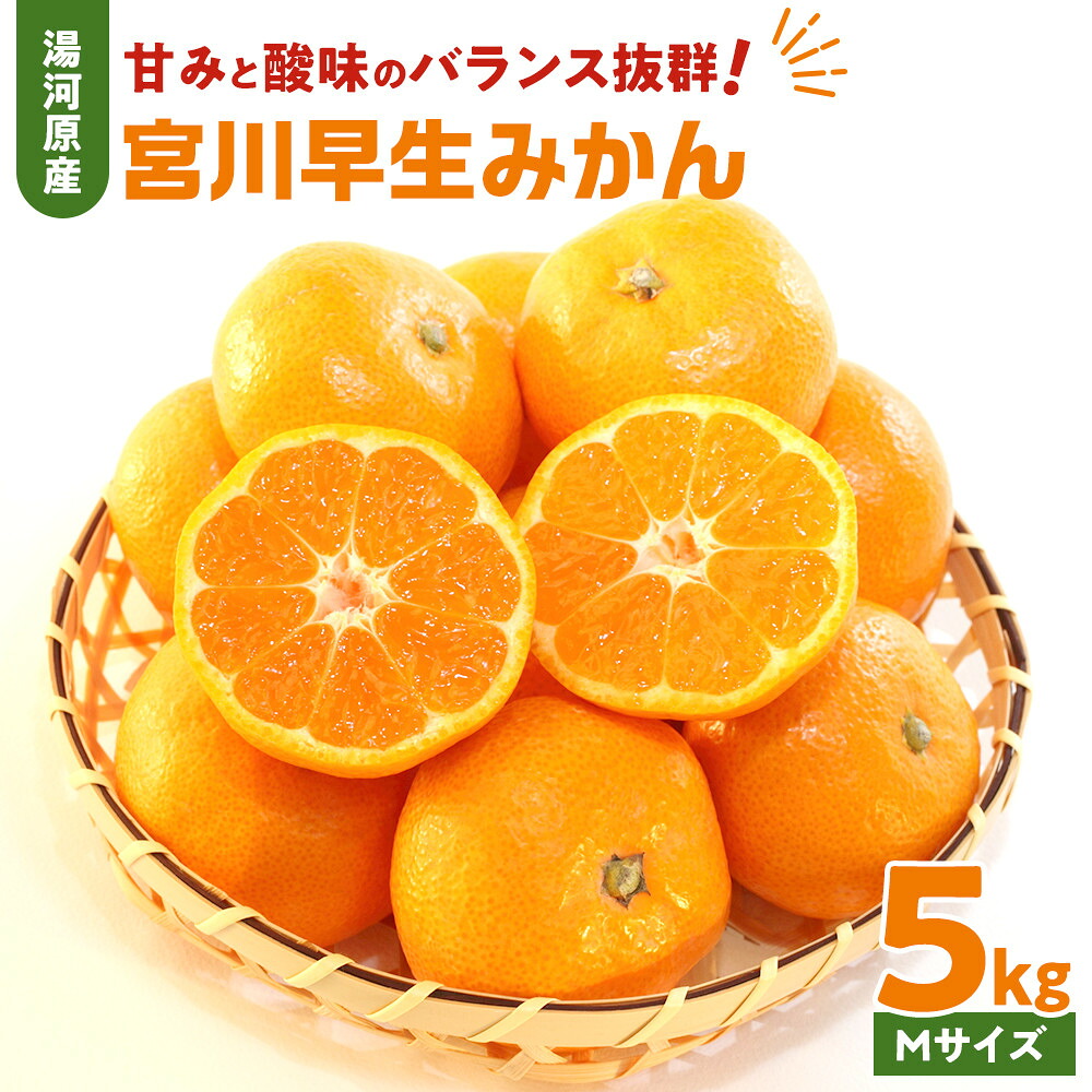 【ふるさと納税】甘みと酸味のバランス抜群・宮川早生みかん　5kg(Mサイズ) 　2026年11月中旬～下旬頃に発送予定| 湯河原町 Mサイズ 5kg 果物 旬 柑橘系 宮川早生みかん｜神奈川県湯河原町