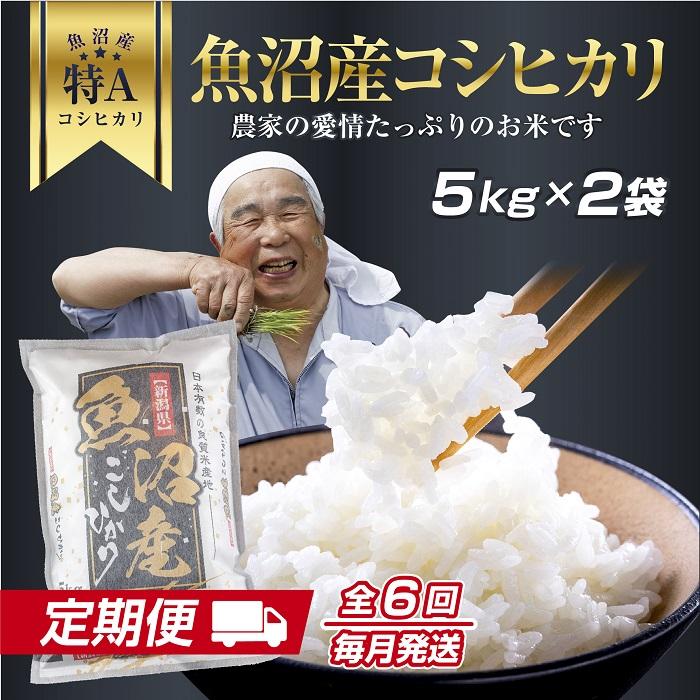 【ふるさと納税】DH10 【定期便】 新潟県 魚沼産 コシヒカリ お米 10kg×計6回 精米済み 半年 毎月発送 こしひかり(お米の美味しい炊き方ガイド付き)|新潟県