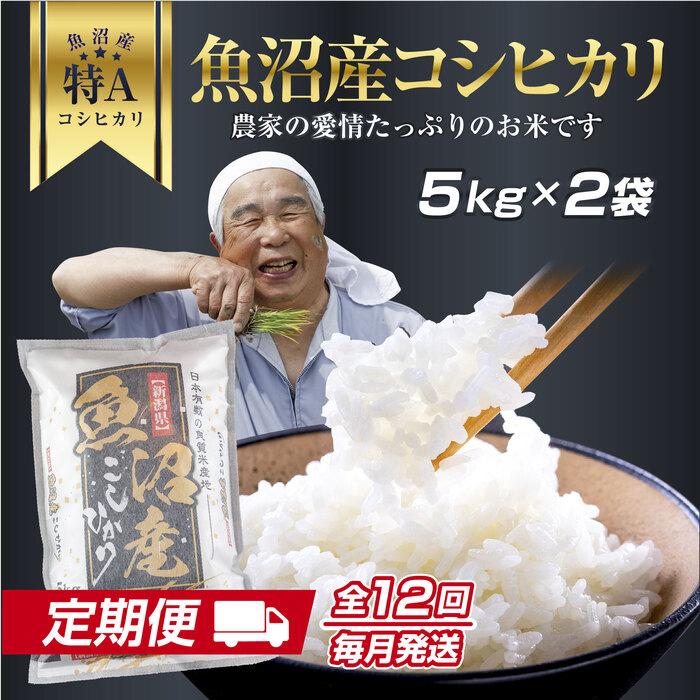 【ふるさと納税】DH14 【定期便】 新潟県 魚沼産 コシヒカリ お米 10kg&times;計12回 精米済み 1年間 毎月発送 こしひかり（お米の美味しい炊き方ガイド付き）｜新潟県