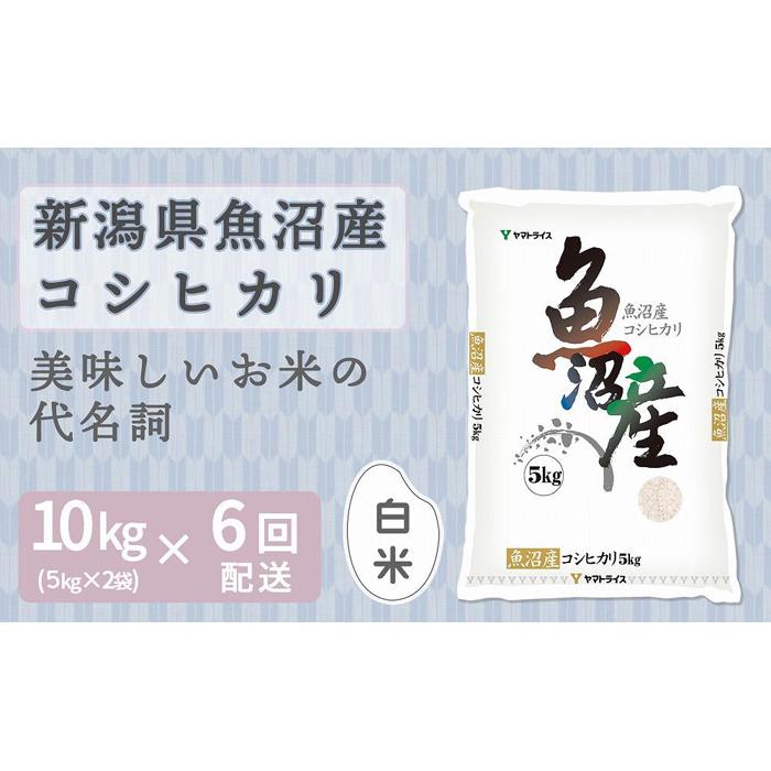 【ふるさと納税】【定期便全6回】新潟県魚沼産コシヒカリ10kg（受注の翌月から毎月配送）｜新潟県　新潟　魚沼　こしひかり　米　おこめ　お米 | お米 こめ 白米 食品 人気 おすすめ 送料無料｜新潟県