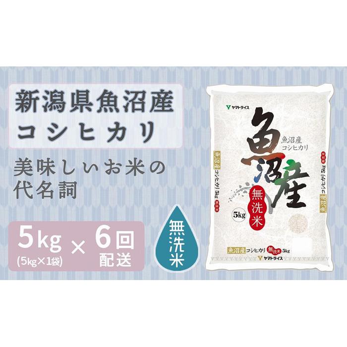 【ふるさと納税】【定期便全6回】無洗米新潟県魚沼産コシヒカリ5kg（受注の翌月から毎月配送）｜新潟県　新潟　魚沼　無洗米　こしひかり　米　おこめ　お米 | お米 こめ 白米 食品 人気 おすすめ 送料無料