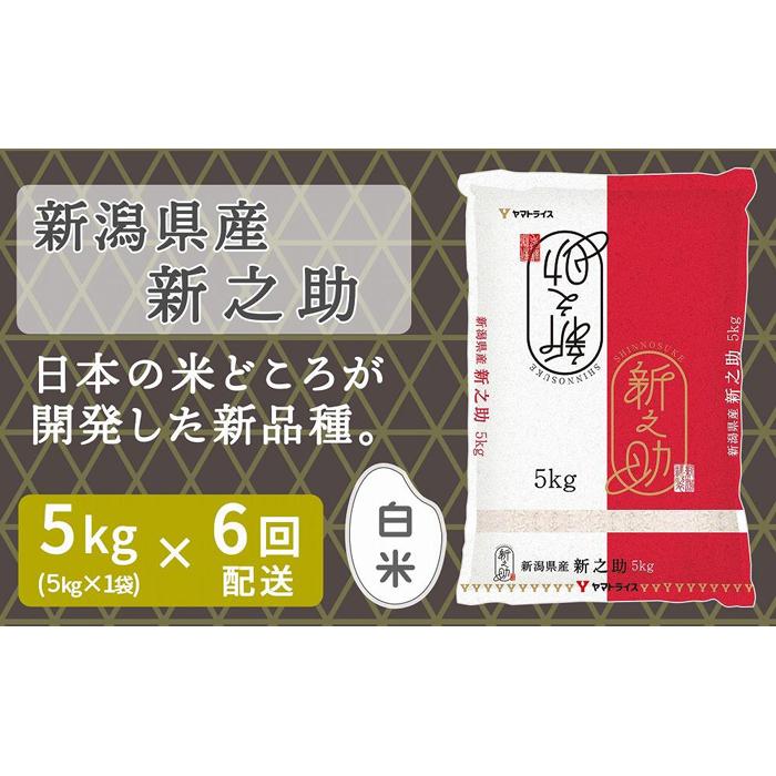 【ふるさと納税】【定期便全6回】新潟県産新之助5kg（受注の翌月から毎月配送）｜新潟県　新潟　米　おこめ　お米 | お米 こめ 白米 食品 人気 おすすめ 送料無料