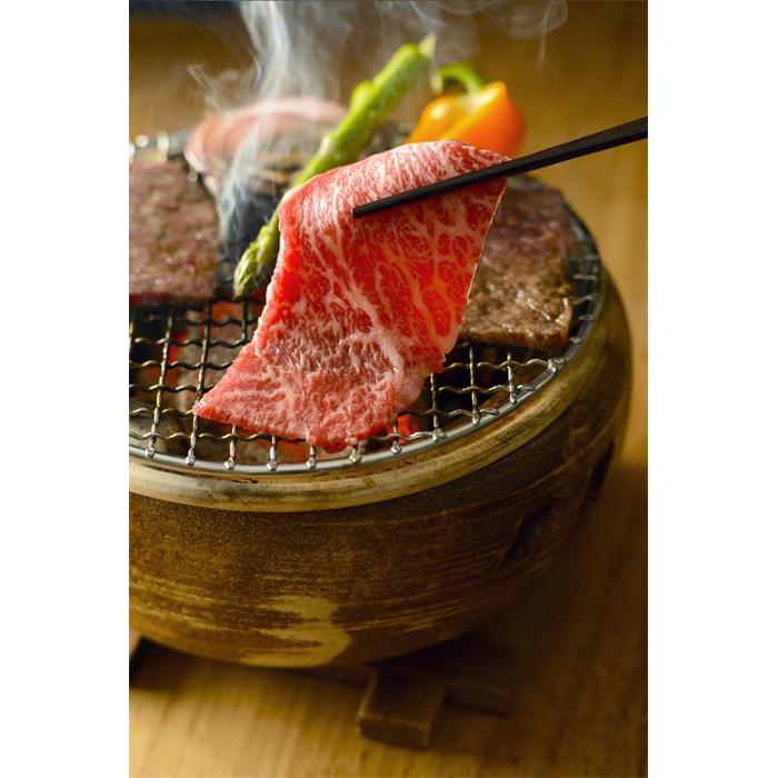 【ふるさと納税】雪室熟成にいがた和牛モモ焼肉用(500g)|新潟県