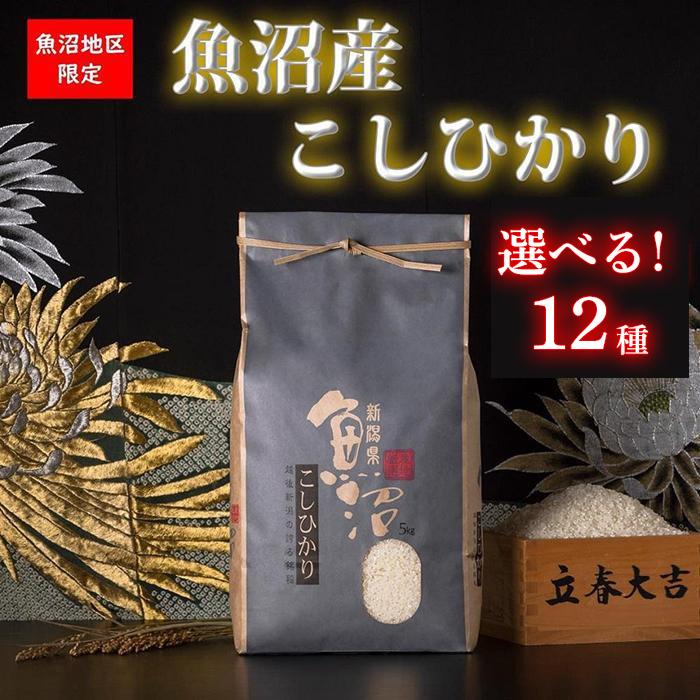 【ふるさと納税】【令和7年産】【新潟県 特A地区】魚沼産コシヒカリ 白米/無洗米 各5kg/10kg|新潟県