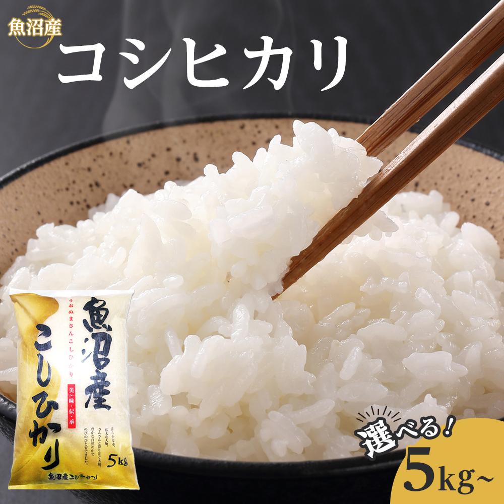 【ふるさと納税】魚沼産コシヒカリ5kg～10kg・各3～12ヶ月定期便｜新潟県 魚沼 こしひかり 令和7年産 24,820円
