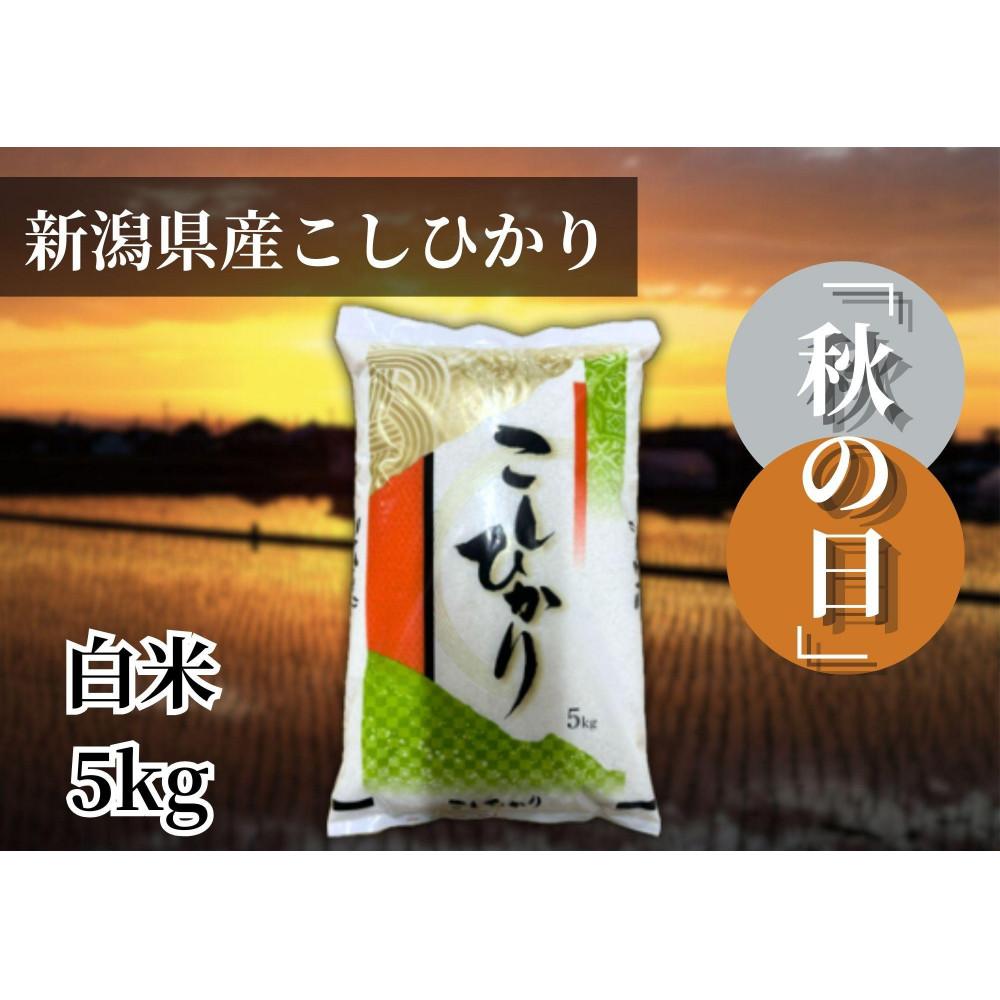 楽天市場】【ふるさと納税】先行予約 出雲國 特別栽培米 仁多米