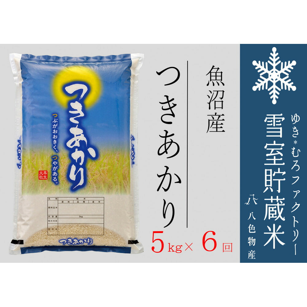 【ふるさと納税】【定期便5kg×6回】雪室貯蔵米 魚沼産つきあかり(令和7年産) | お米 こめ 白米 食品 人気 おすすめ 送料無料|新潟県
