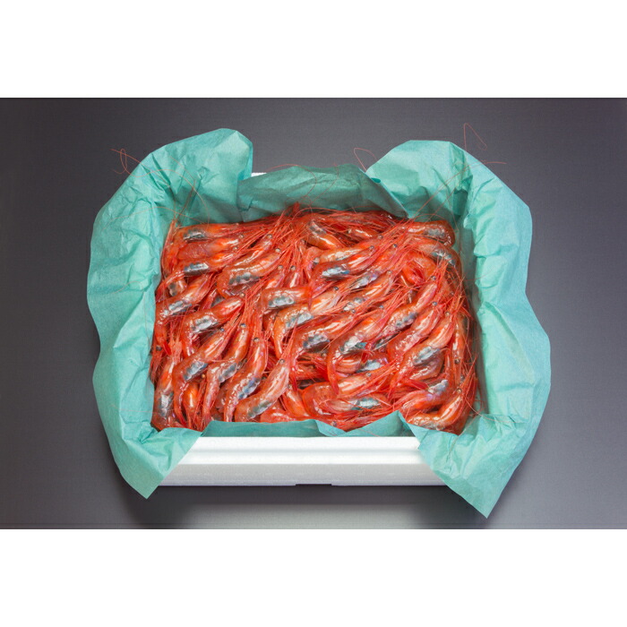 【ふるさと納税】【にいがたフード・ブランド】 生鮮 南蛮海老 約500ｇ