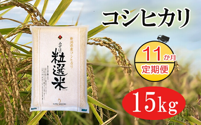 ふるさと納税 新潟造るコシヒカリ精ライス15kg無意味さ詰める 11か月定期送達 定期御状 お米 コシヒカリ Filmmakers Pro Br