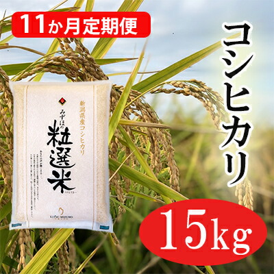 ふるさと納税 新潟造るコシヒカリ精ライス15kg無意味さ詰める 11か月定期送達 定期御状 お米 コシヒカリ Musiciantuts Com