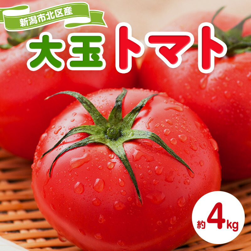 【ふるさと納税】トマト 大玉系 約4kg  23～24玉 （ にごりかわトマト または 豊栄トマト） とまと 野菜 新鮮 産地直送 新潟県産 新潟市産 期間限定 　お届け：2025年6月上旬～６月下旬