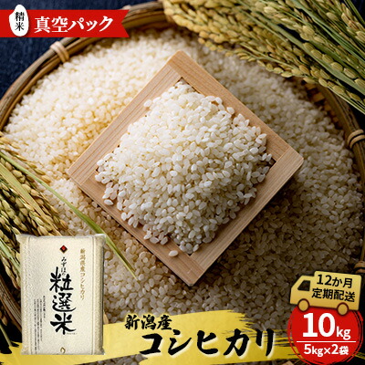 【ふるさと納税】新潟産コシヒカリ精米10kg 真空パック(12か月定期配送) お米 お届け:入金確認後、順次発送|新潟県新潟市