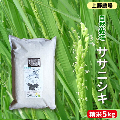 【ふるさと納税】新潟産自然栽培ササニシキ精米　5kg お米 ご飯 食卓 主食 おにぎり お弁当 国産 日本産 ブランド米