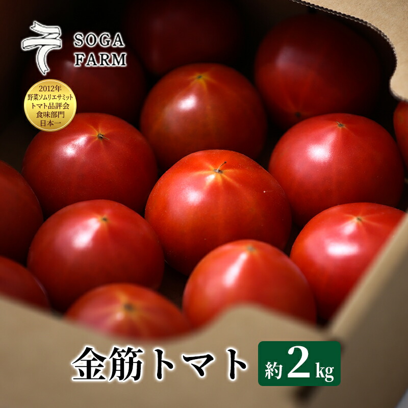 【ふるさと納税】【2024年6月発送】SOGA FARM　金筋トマト 2024年 先行予約 トマト 野菜 とまと 新潟 　お届け：2025年6月上旬～6月下旬
