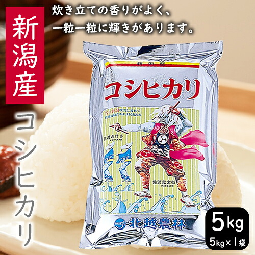【ふるさと納税】こしひかり 新潟産コシヒカリ 5kg 米 お米 こめ コメ ごはん 新潟 米 白米 コシヒカリ ブランド米 銘柄米 お取り寄せ 産地直送 　お届け：入金確認後、約2週間～1ヶ月でお届け｜新潟県新潟市