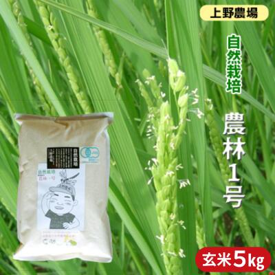【ふるさと納税】上野農場 自然栽培農林1号 玄米5kg お米 米 玄米 新潟市