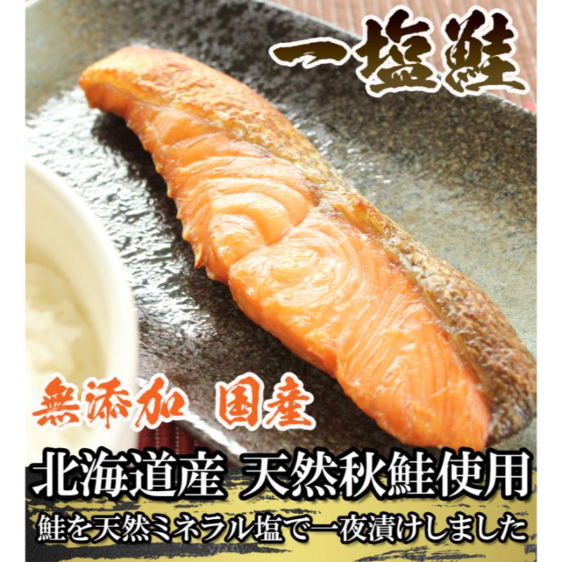 【ふるさと納税】一塩鮭 （薄塩）　鮭 さけ サケ 天然 秋鮭 ミネラル塩 冷凍 真空パック 小分け 低脂肪　高たんぱく EPA DHA｜新潟県新潟市