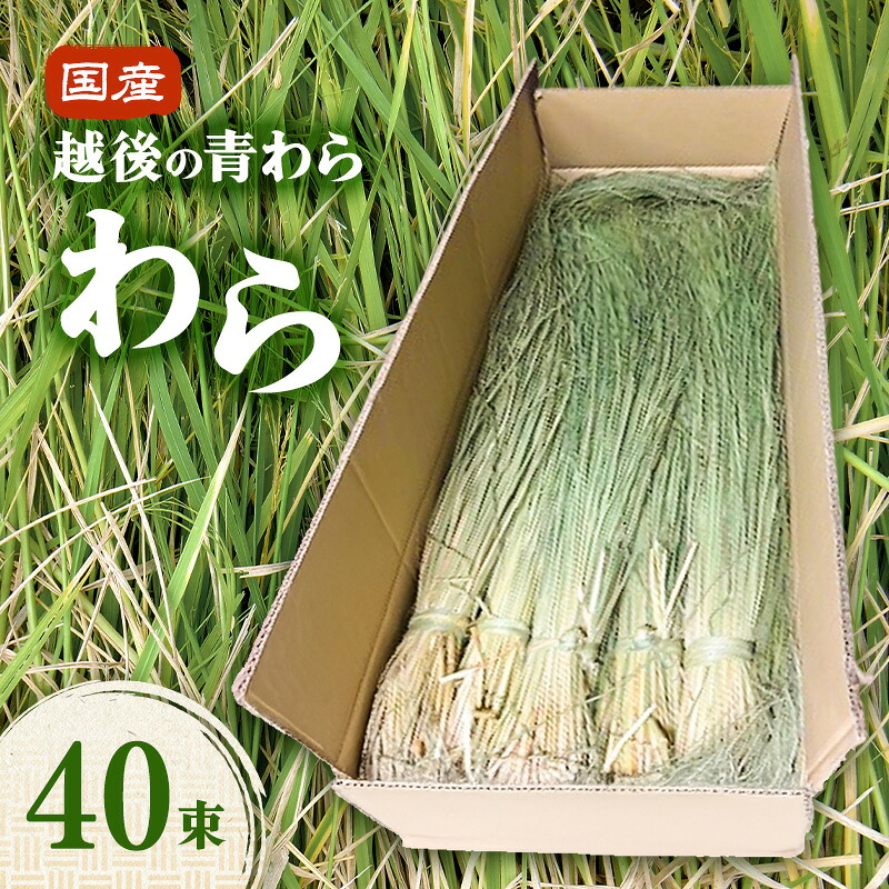 【ふるさと納税】国産越後の青刈り わら40束 青わら しめ飾り インテリア ハンドメイド 国産 新潟 越後｜新潟県新潟市