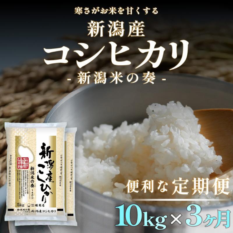 【ふるさと納税】【定期便】新潟産 コシヒカリ 10kg&times;3回（3ヶ月）｜新潟県新潟市 48,600円