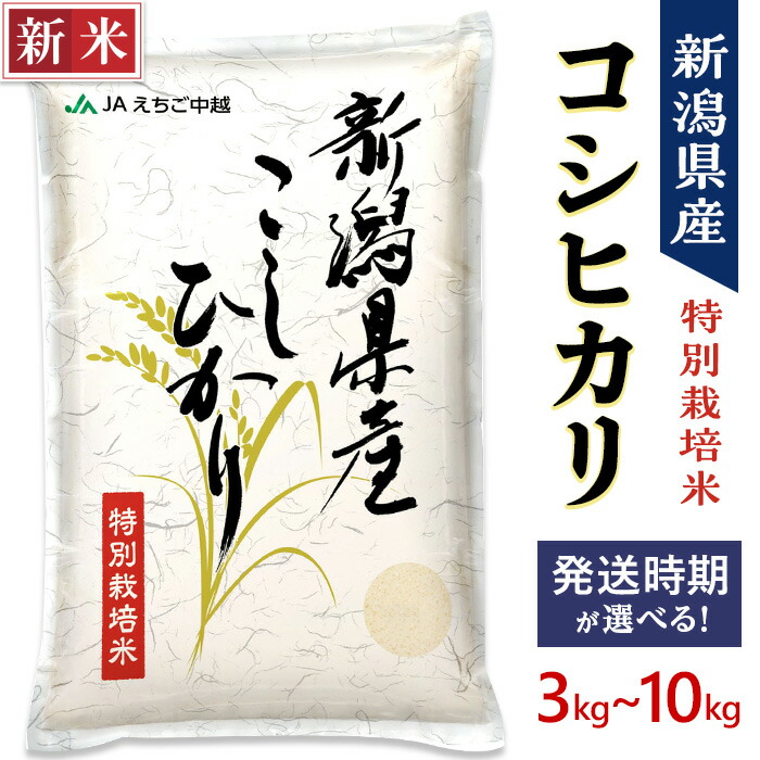 【新米】兵庫県産ちほみのり精米10kg(5kg×2袋) 米 10kg 無洗米 ちほみのり 送料無料 5kg×2袋 お米 精米 ライス