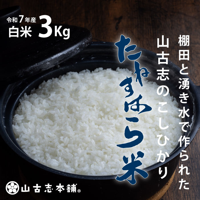 楽天市場】【ふるさと納税】米 10kg 白米 コシヒカリ 新潟 令和7年 G3