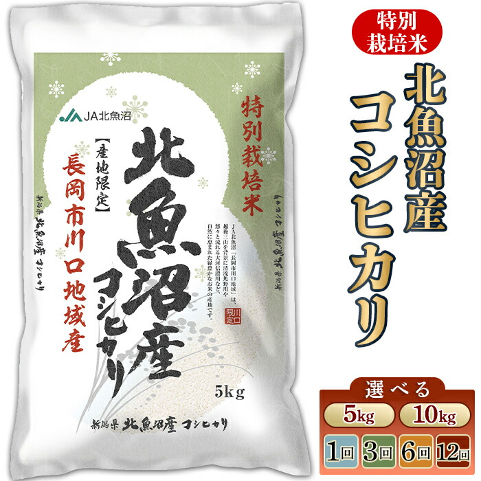 【ふるさと納税】米 定期便 5kg 10kg 令和7年産 魚沼 コシヒカリ 特別栽培米 選べる回数・発送時期 1回 3回 6回 12回 3ヶ月 6ヶ月 12ヶ月 発送 新潟こしひかり 精米 白米 お米 コメ 北魚沼産コシヒカリ特別栽培米(長岡川口地域)JA直送 (魚沼農業協同組合)|新潟県長岡市