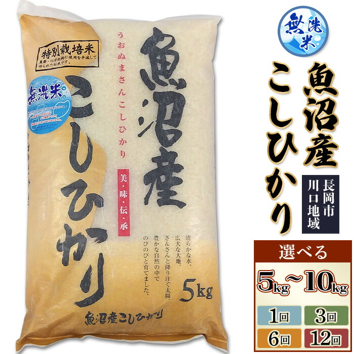 【ふるさと納税】令和7年 米 無洗米 定期便 魚沼 新潟 コシヒカリ 選べる 5kg 10kg（5kg&times;2袋） 1回 3回 6回 12回 3ヶ月 6ヶ月 12ヶ月 新潟こしひかり 白米 お米 新潟県魚沼産特別栽培米コシヒカリ無洗米（越後農産）｜新潟県長岡市 13,140円