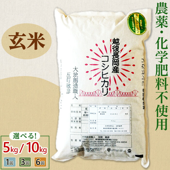 【ふるさと納税】令和7年産 米 玄米 定期便 5kg 10kg 新潟 コシヒカリ 選べる回数 1回 3回 6回 3ヶ月 6ヶ月 新潟こしひかり お米 健康 腸活 美容 新潟県産コシヒカリ玄米（大地創造職人 反町敏彦）