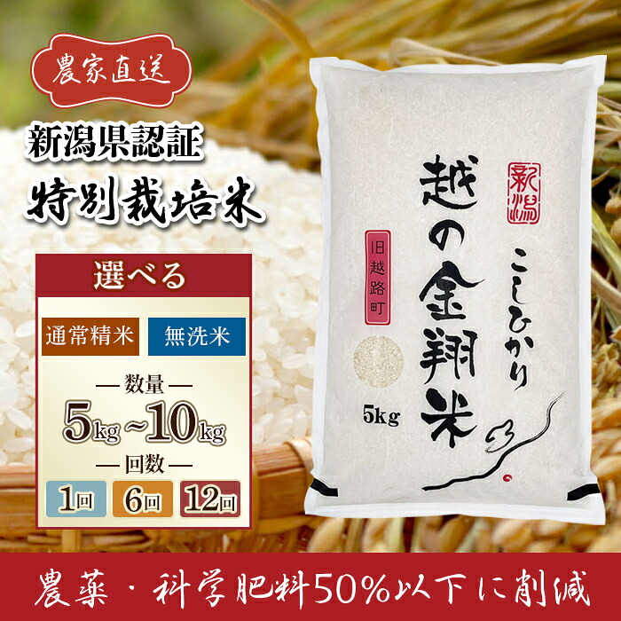 【ふるさと納税】 令和7年産 米 無洗米 定期便 5kg 10kg 新潟 コシヒカリ 精米 白米 お米 選べる 1回 6回 12回 6ヶ月 12ヶ月 新潟こしひかり 【越の金翔米】新潟県長岡産 特別栽培米 コシヒカリ（アグリカンパニーこしじ）｜新潟県長岡市 10,010円