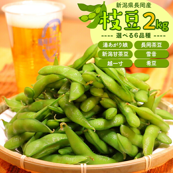 【ふるさと納税】枝豆 2kg 小分け 250g×8袋入り 品種が選べる 湯あがり娘 長岡茶豆 新潟甘茶豆 雪音 越一寸 肴豆 新潟 冷蔵配送 長岡産季節の枝豆2kg（250g×8袋入り）